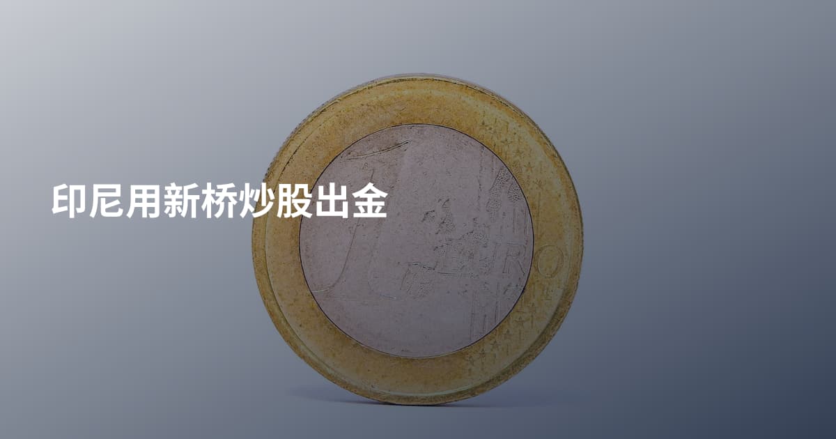 印尼用新桥炒股出金