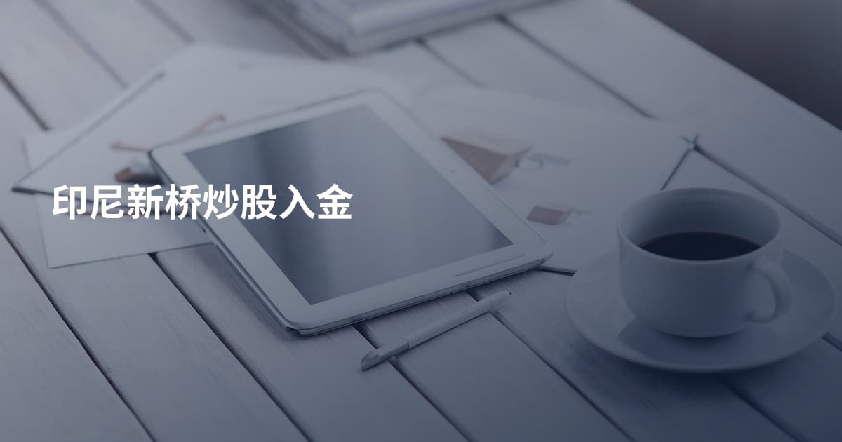 印尼新桥炒股入金
