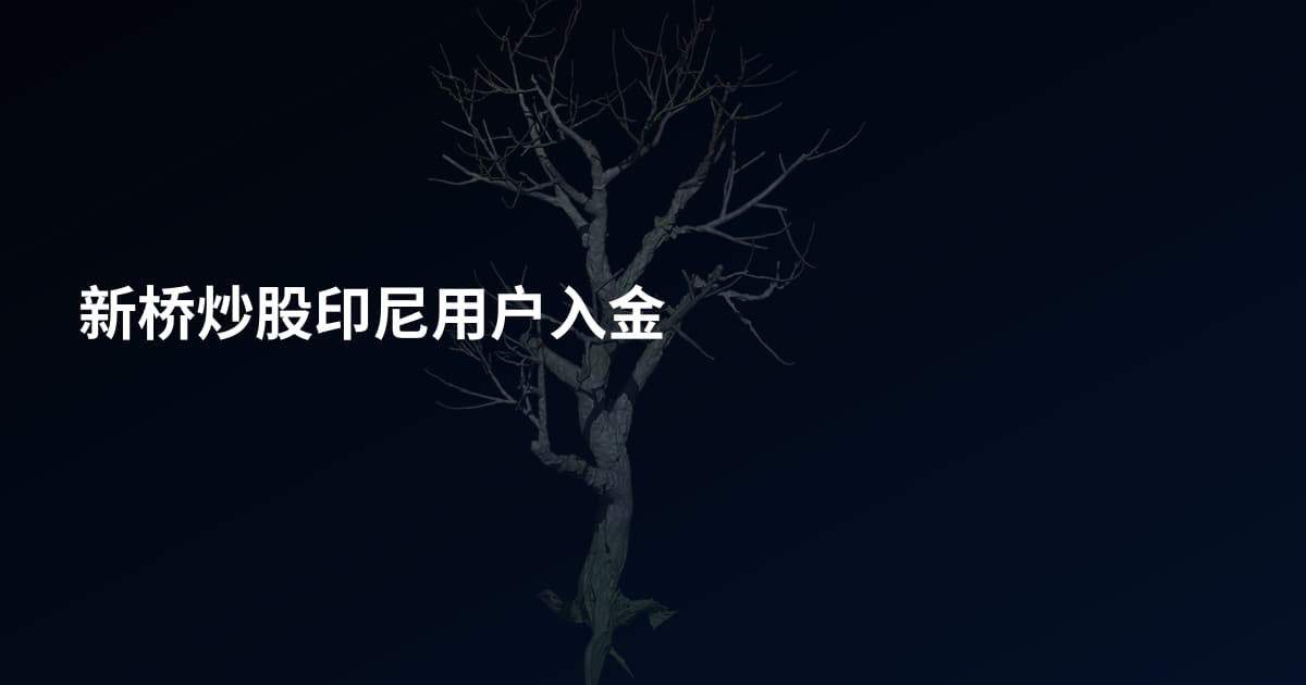 新桥炒股印尼用户入金