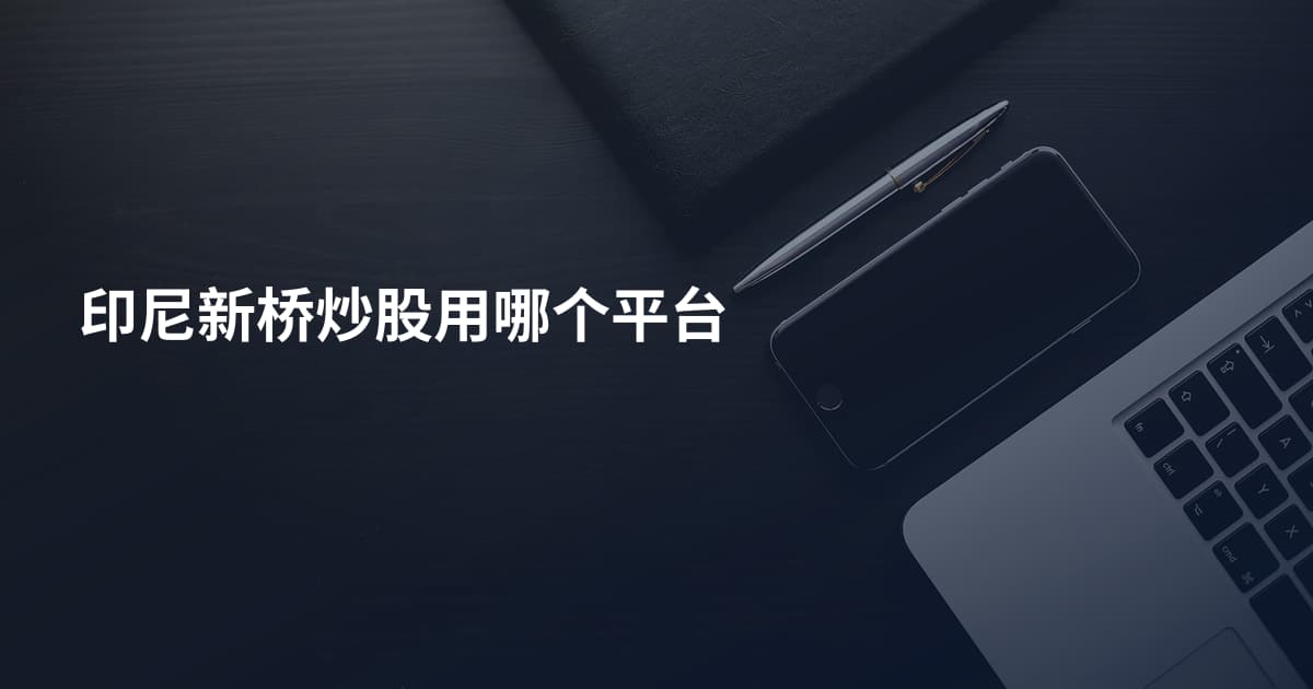 印尼新桥炒股用哪个平台