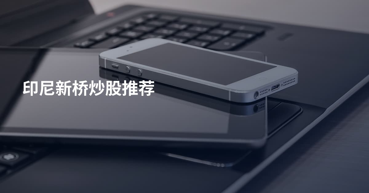 印尼新桥炒股推荐
