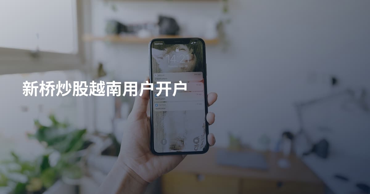 新桥炒股越南用户开户