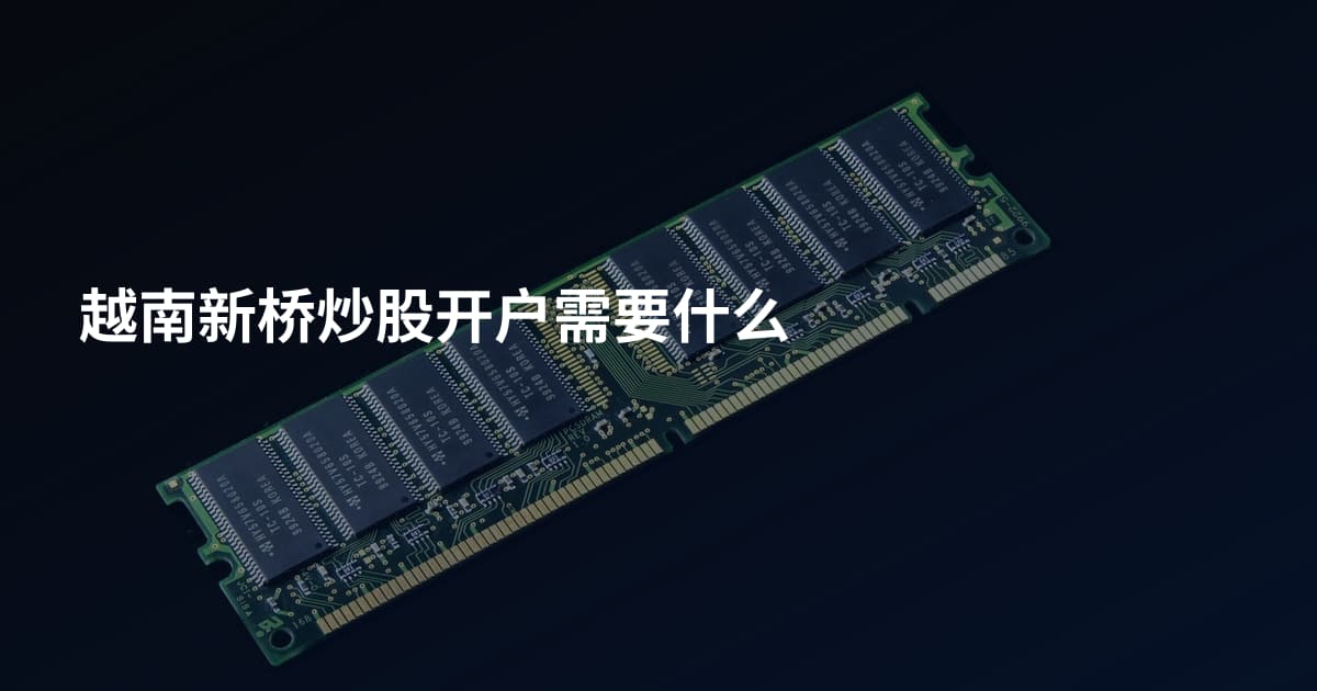 越南新桥炒股开户需要什么