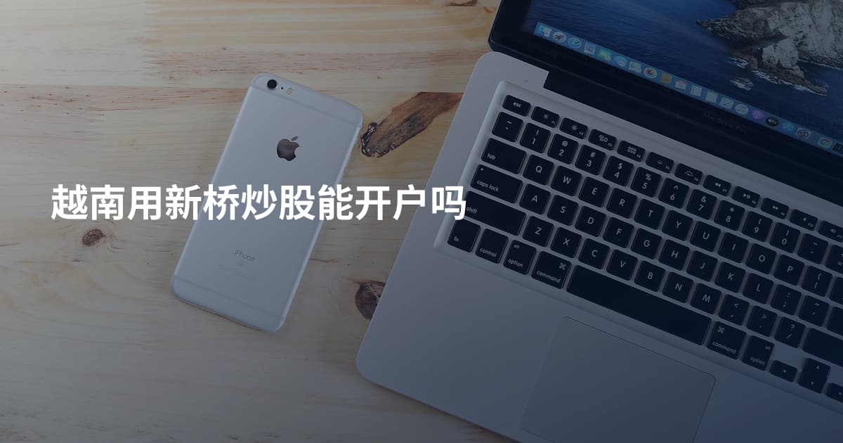 越南用新桥炒股能开户吗