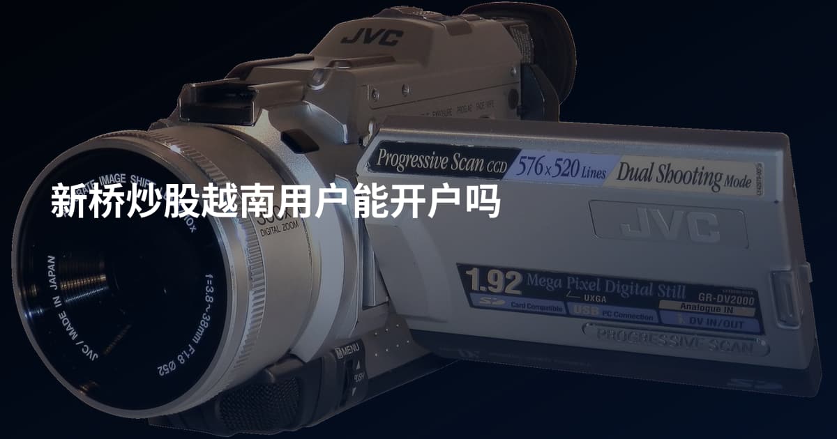新桥炒股越南用户能开户吗