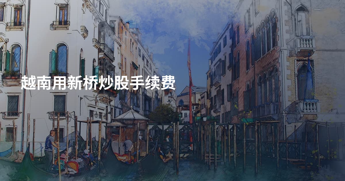 越南用新桥炒股手续费