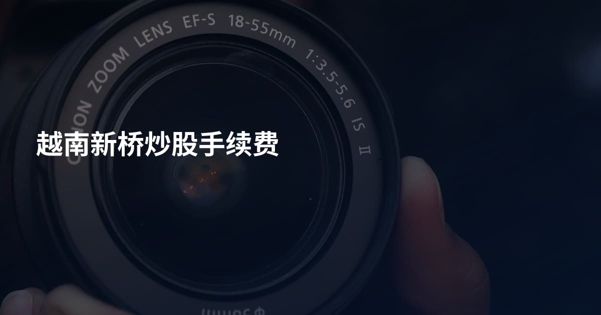 越南新桥炒股手续费