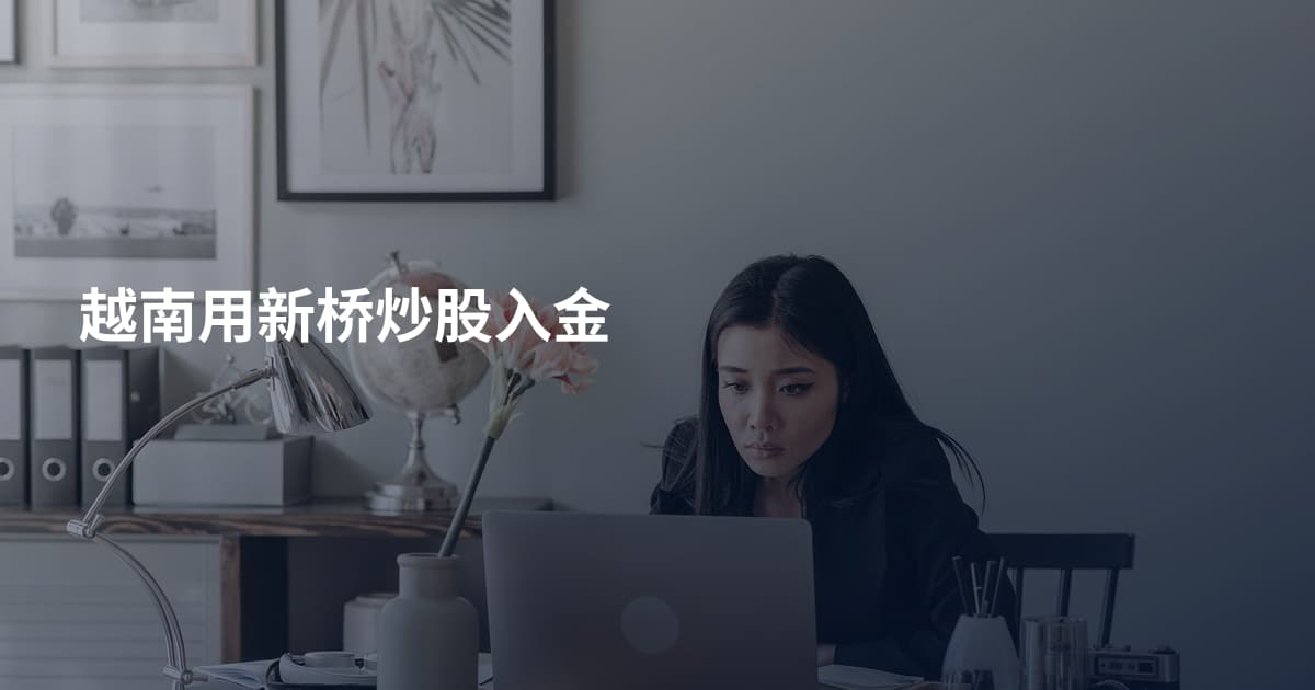 越南用新桥炒股入金