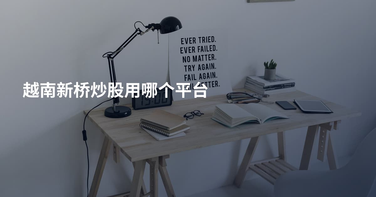 越南新桥炒股用哪个平台