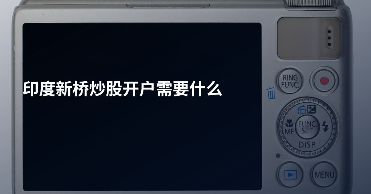 印度新桥炒股开户需要什么
