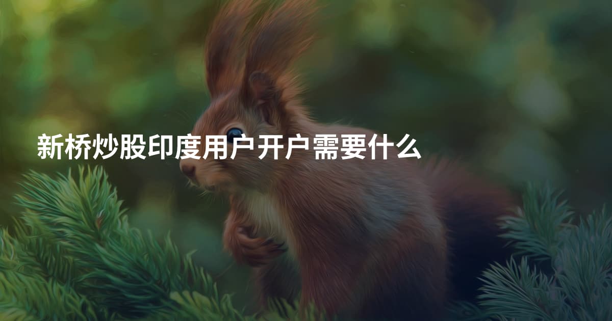 新桥炒股印度用户开户需要什么