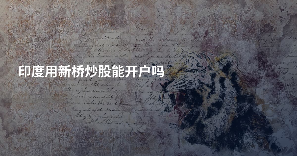 印度用新桥炒股能开户吗