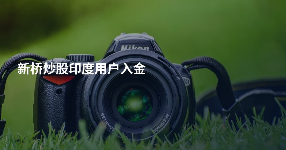 新桥炒股印度用户入金