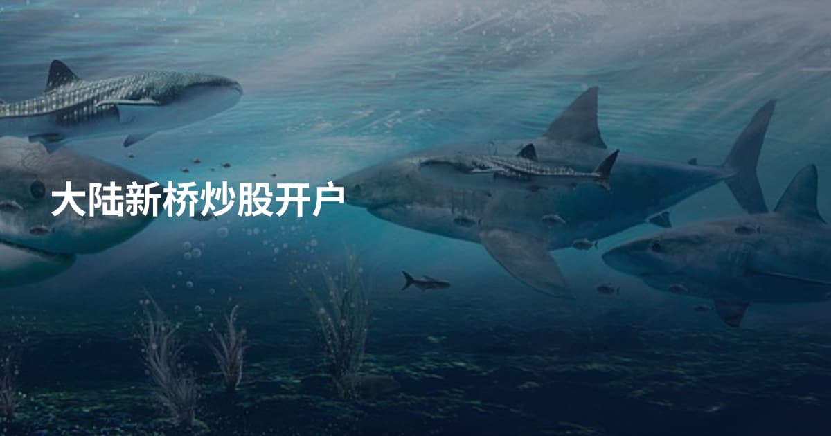 大陆新桥炒股开户