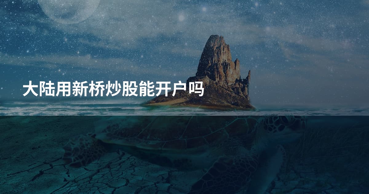 大陆用新桥炒股能开户吗