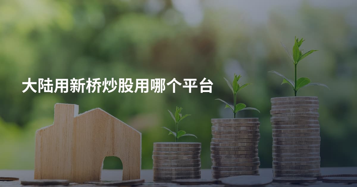 大陆用新桥炒股用哪个平台