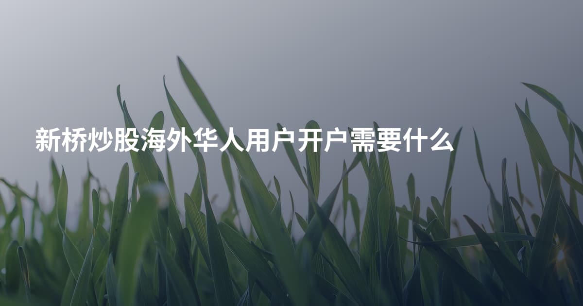新桥炒股海外华人用户开户需要什么
