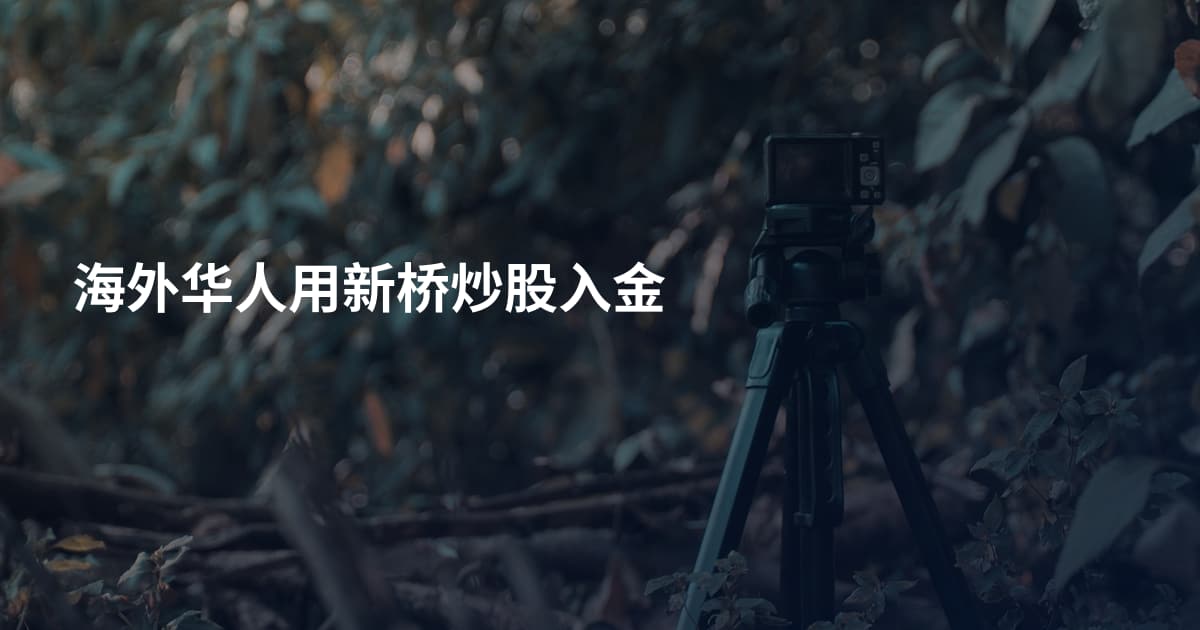 海外华人用新桥炒股入金