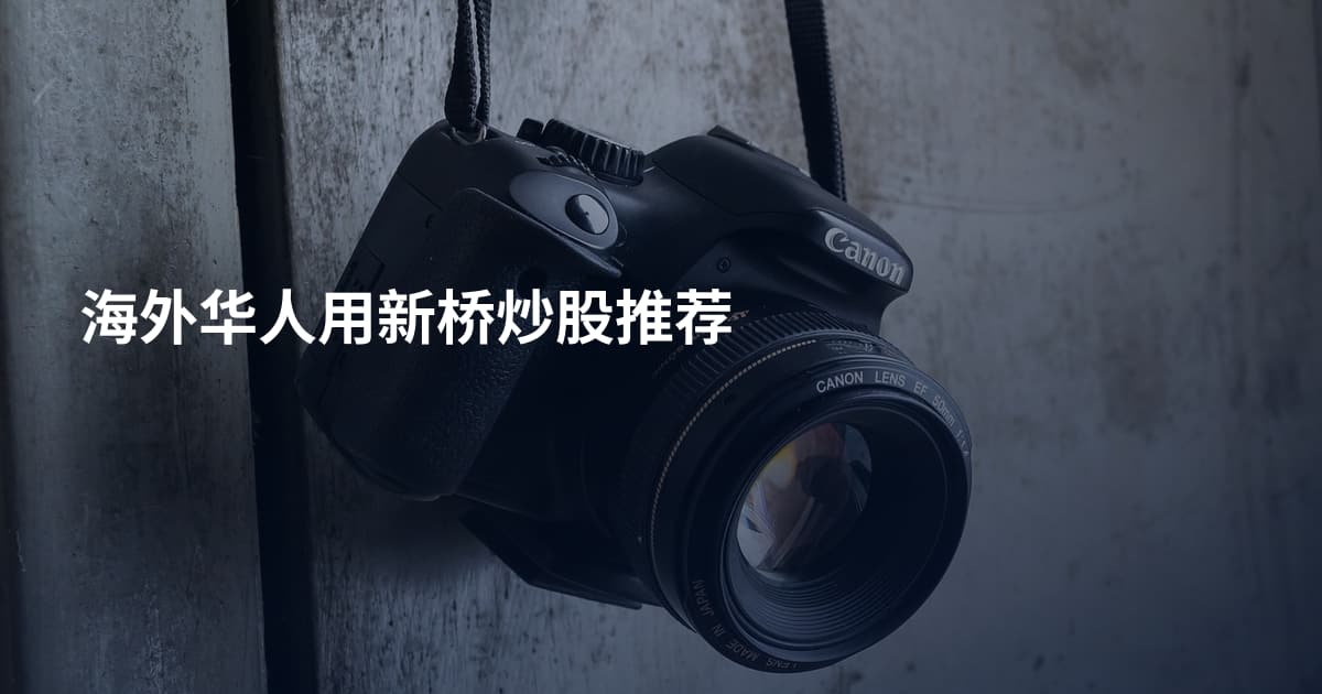 海外华人用新桥炒股推荐