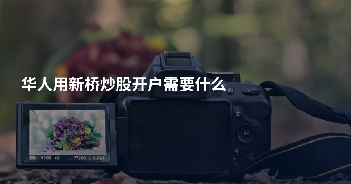 华人用新桥炒股开户需要什么