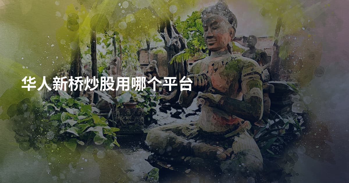 华人新桥炒股用哪个平台