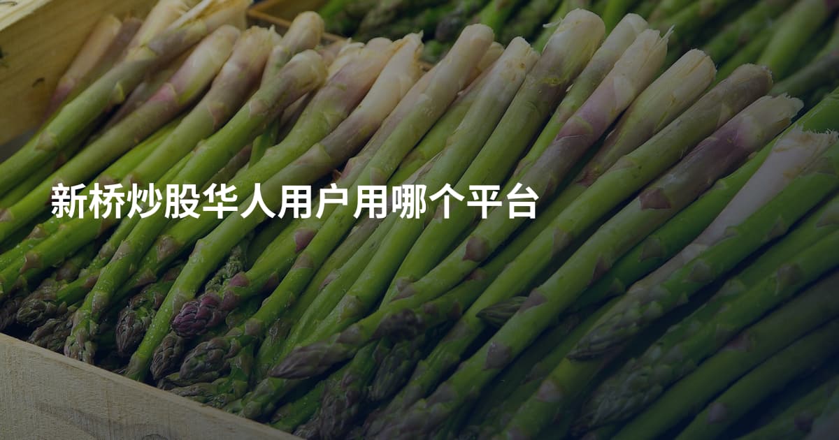 新桥炒股华人用户用哪个平台