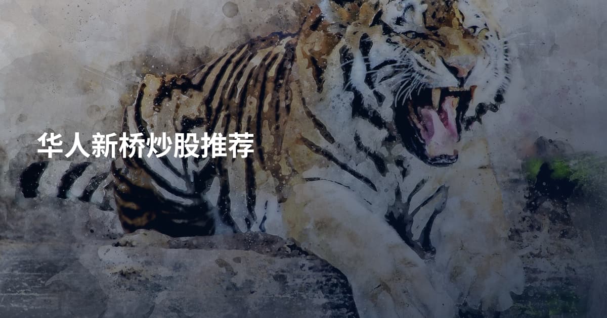 华人新桥炒股推荐