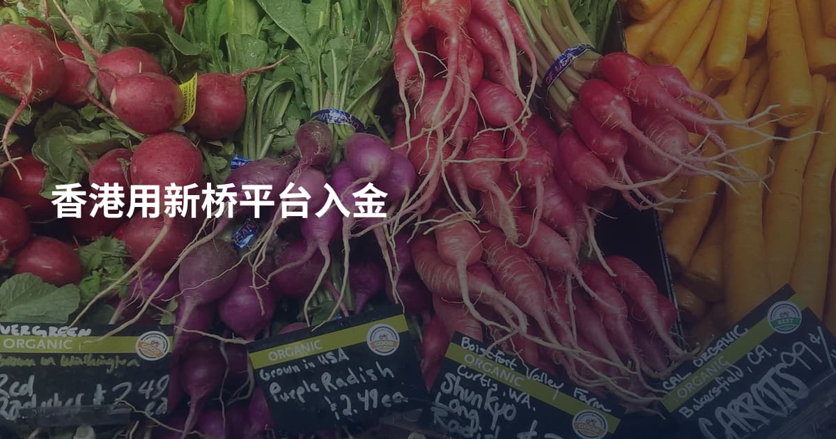 香港用新桥平台入金