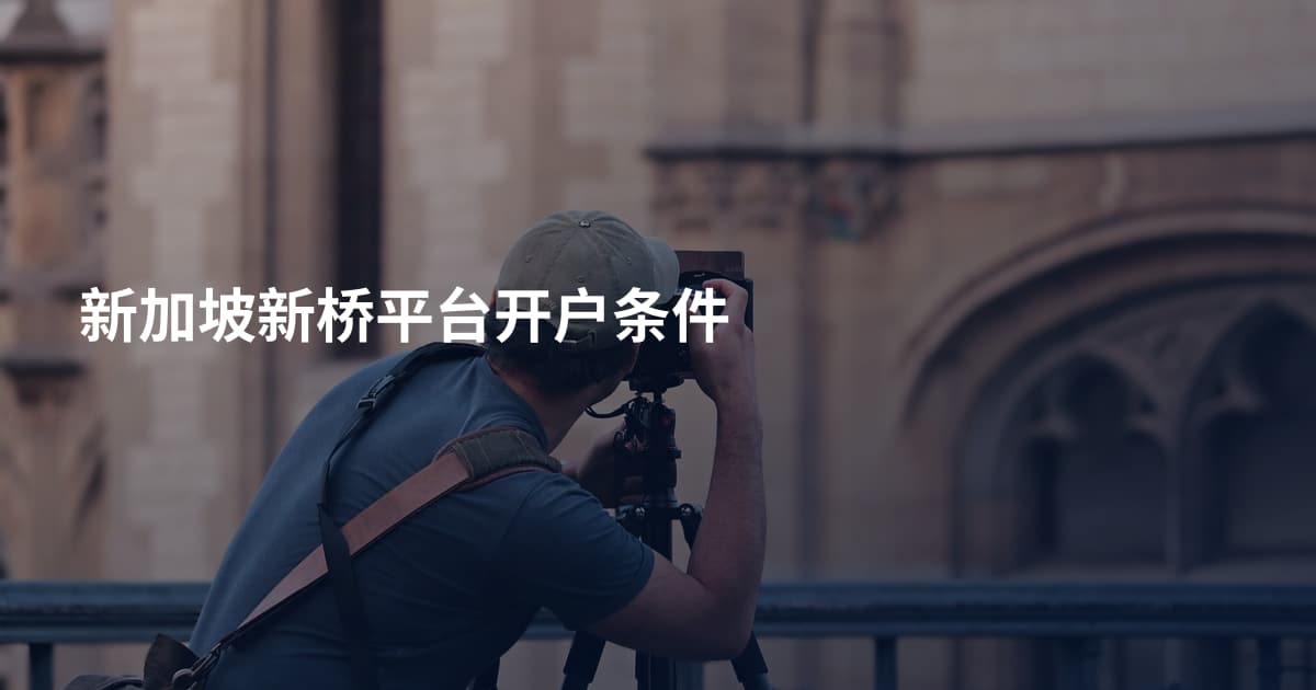 新加坡新桥平台开户条件