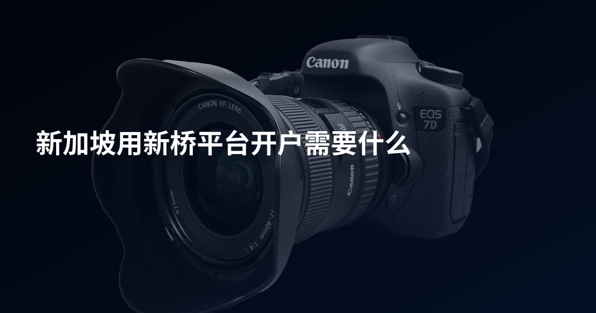 新加坡用新桥平台开户需要什么