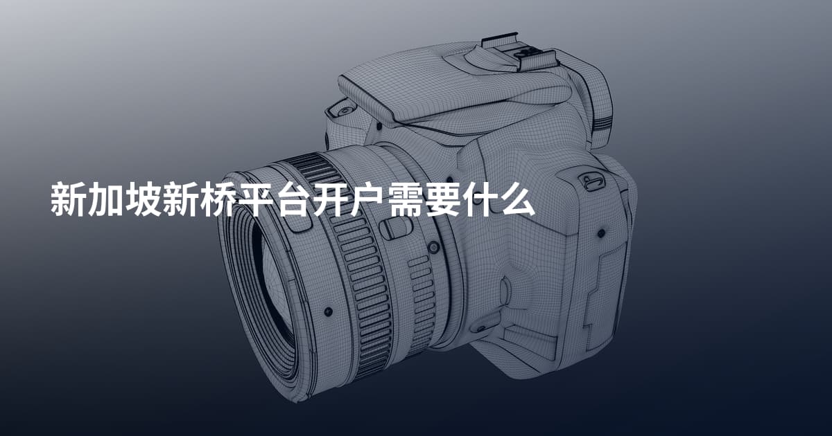 新加坡新桥平台开户需要什么