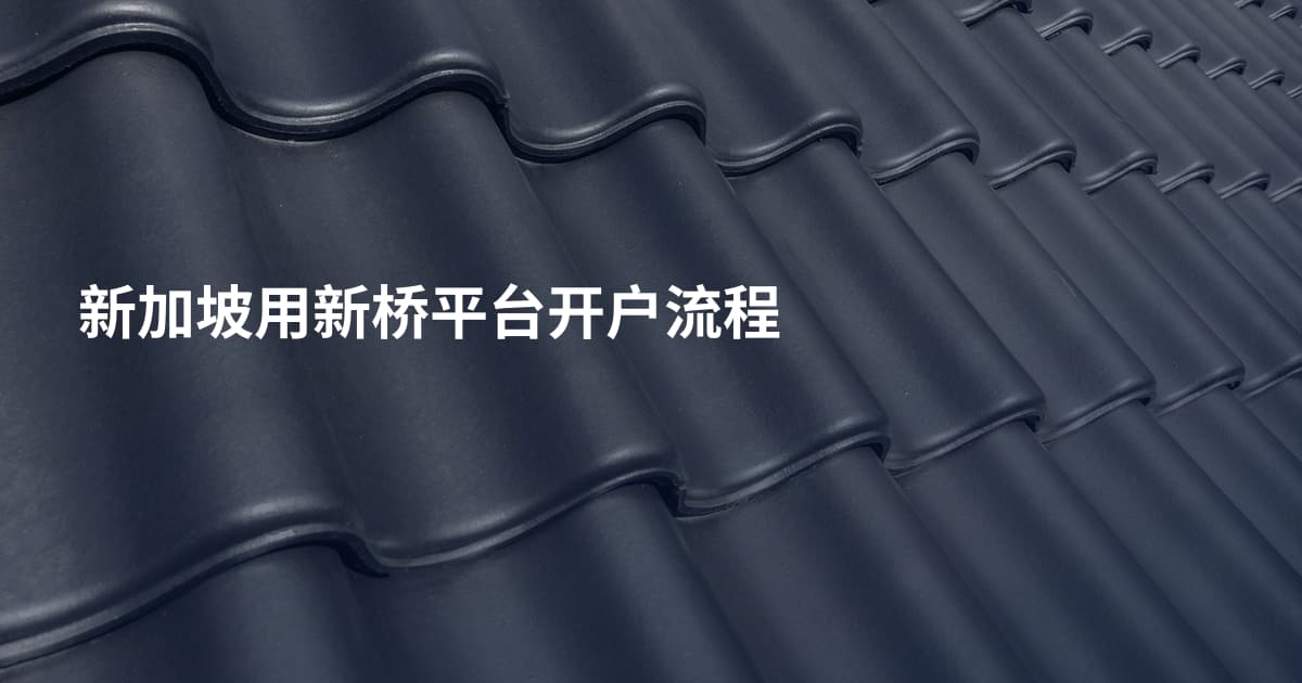 新加坡用新桥平台开户流程