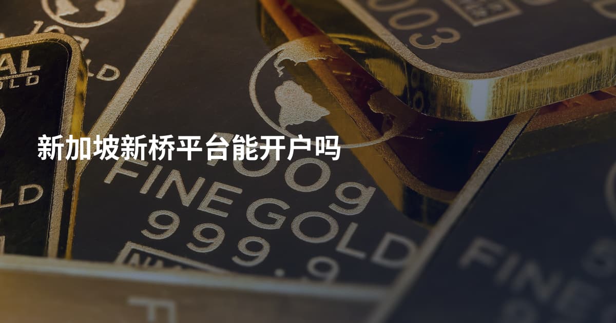 新加坡新桥平台能开户吗