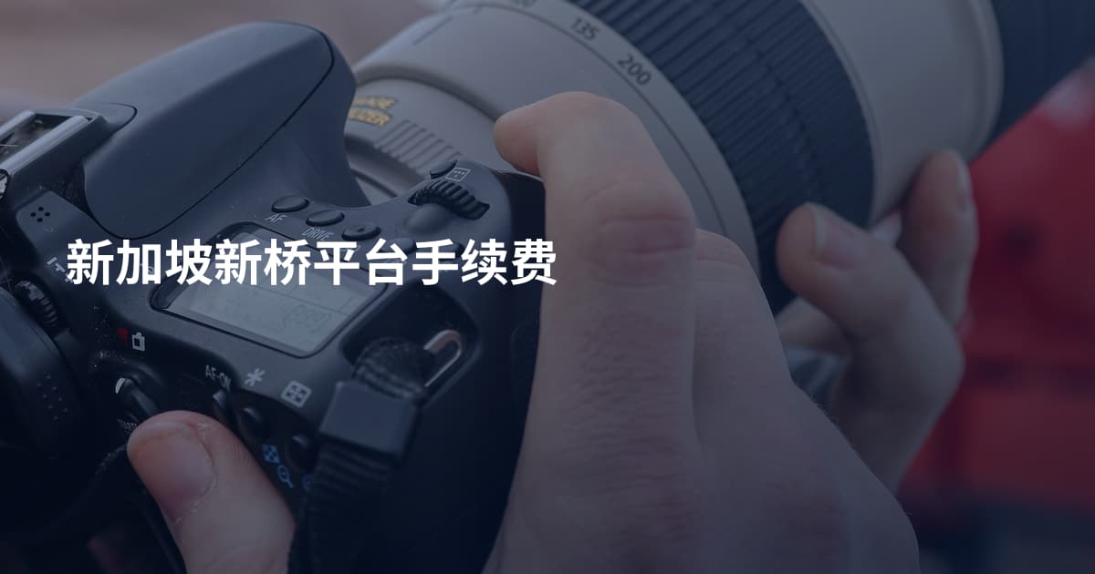 新加坡新桥平台手续费