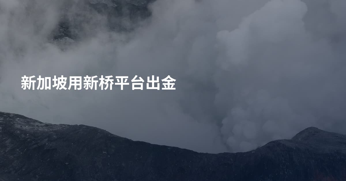 新加坡用新桥平台出金