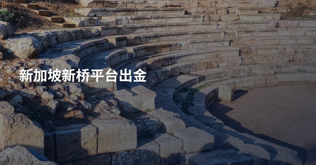 新加坡新桥平台出金