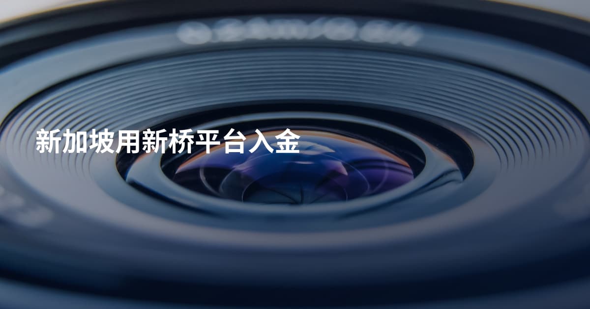 新加坡用新桥平台入金