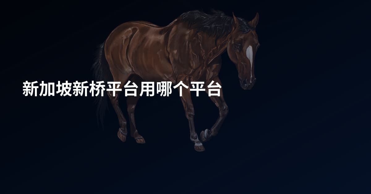 新加坡新桥平台用哪个平台