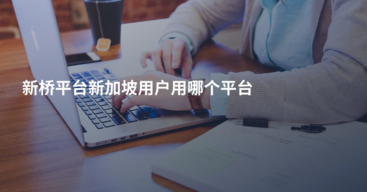 新桥平台新加坡用户用哪个平台