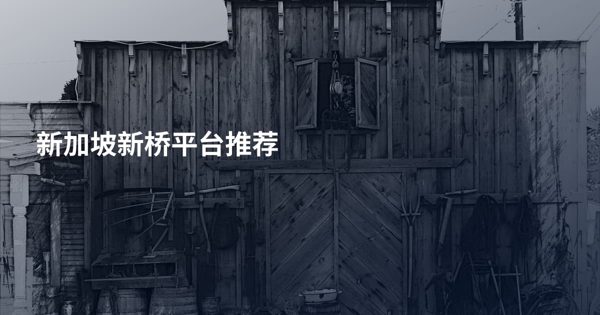 新加坡新桥平台推荐