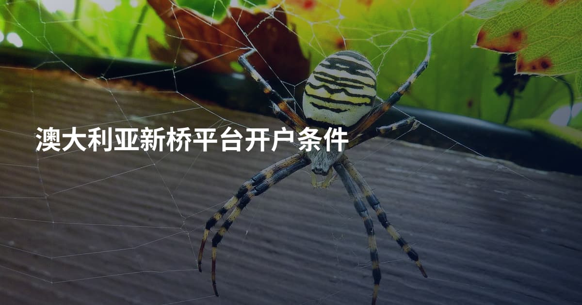 澳大利亚新桥平台开户条件