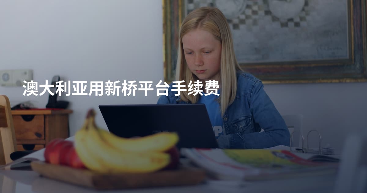 澳大利亚用新桥平台手续费