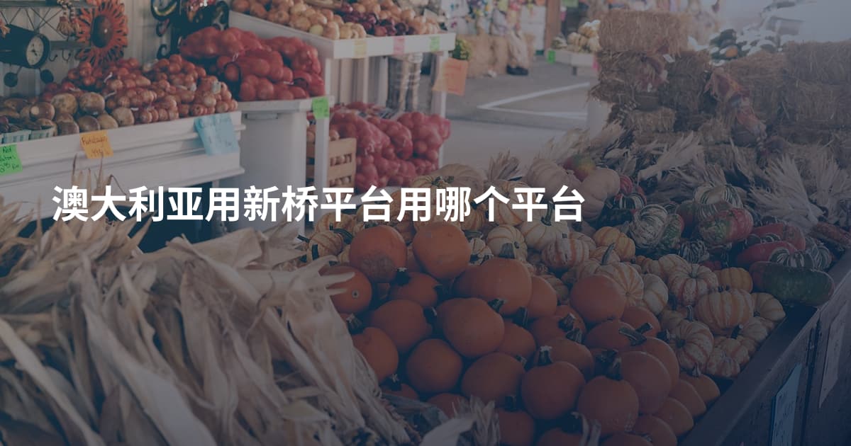 澳大利亚用新桥平台用哪个平台