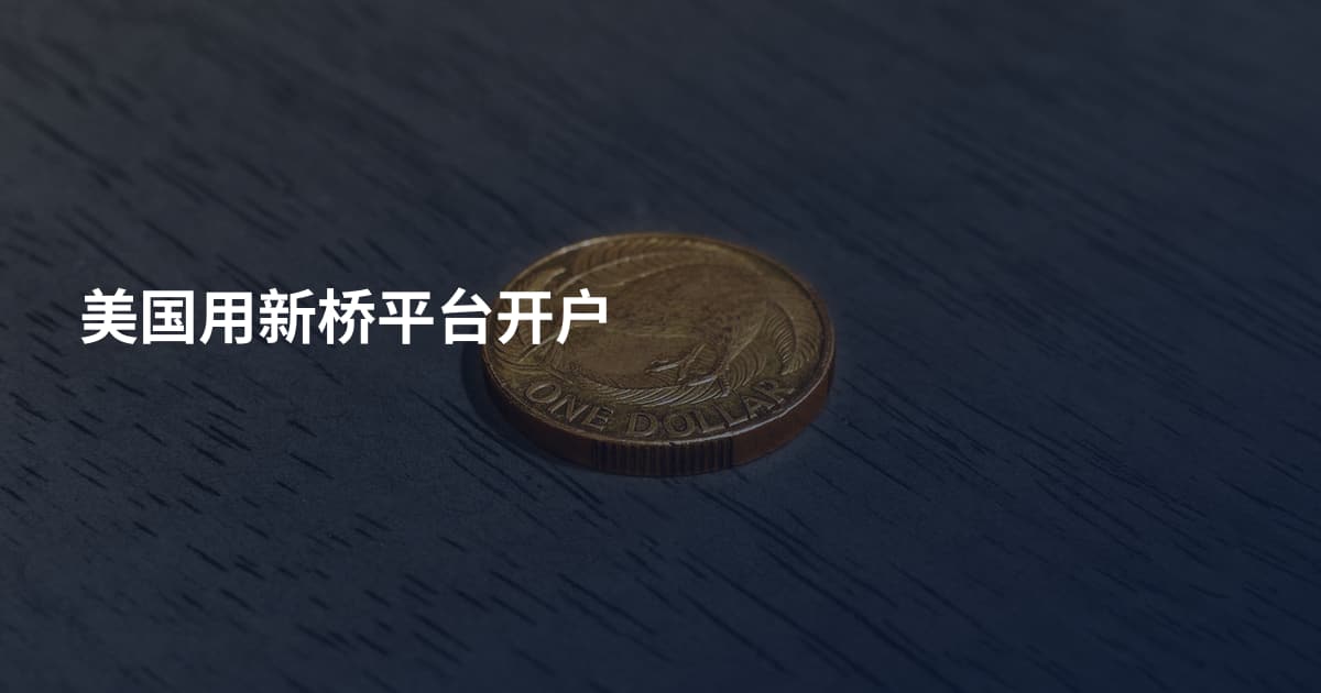美国用新桥平台开户