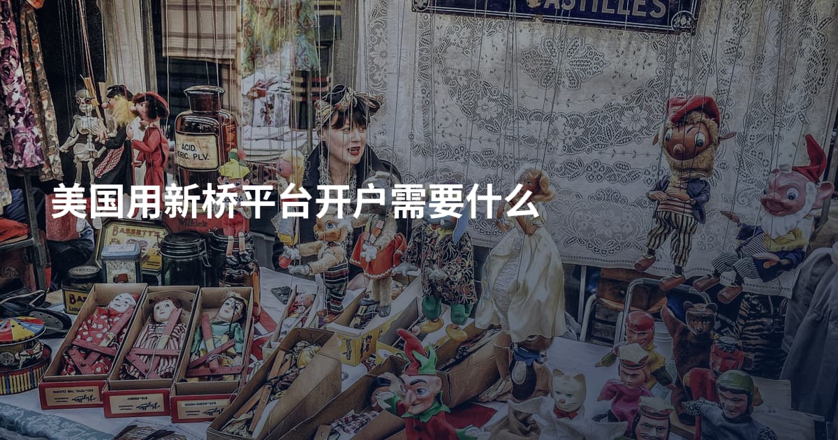 美国用新桥平台开户需要什么