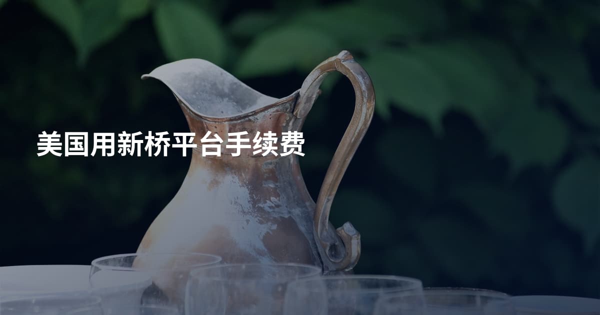美国用新桥平台手续费