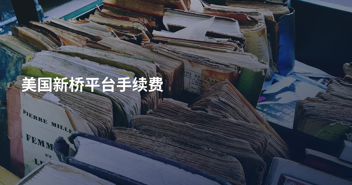 美国新桥平台手续费