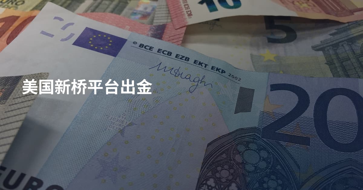美国新桥平台出金