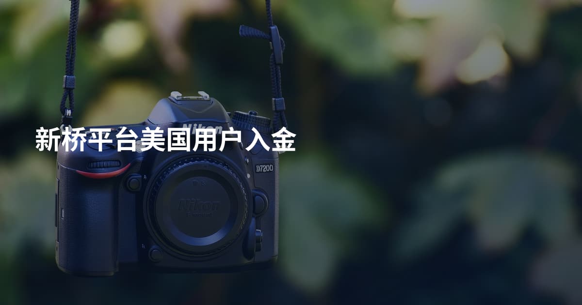 新桥平台美国用户入金
