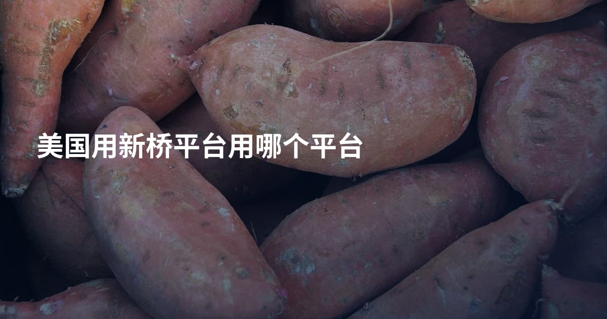 美国用新桥平台用哪个平台
